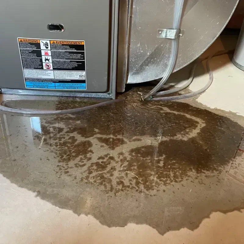 Appliance Leak Cleanup in Clarendon, AR